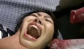 Zoo porno and bestiality